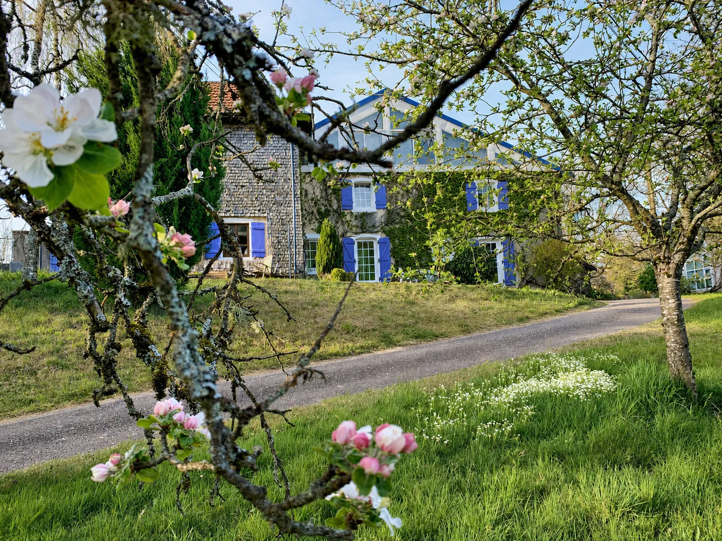 arbres en fleurs au printemps dans le domaine